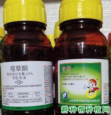 恶草酮如何使用?恶草酮哪些作物可以使用?