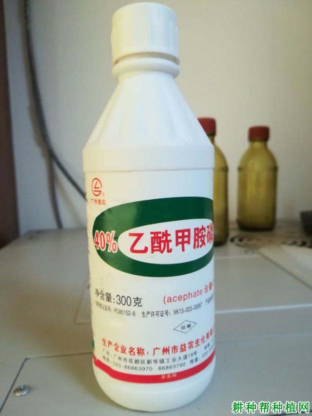 乙酰甲胺磷和甲胺磷图片